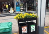 環(huán)衛(wèi)分類垃圾桶上栽花，成為城市風景線