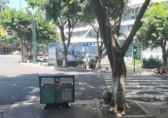 增設(shè)分類垃圾桶 環(huán)保衛(wèi)生引市民點(diǎn)贊