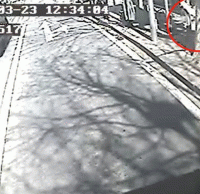 煙頭扔進(jìn)垃圾桶導(dǎo)致起火，公交車司機(jī)見義勇為獲點(diǎn)贊